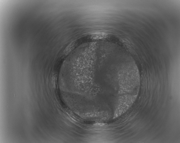 X0000055970227200509162207