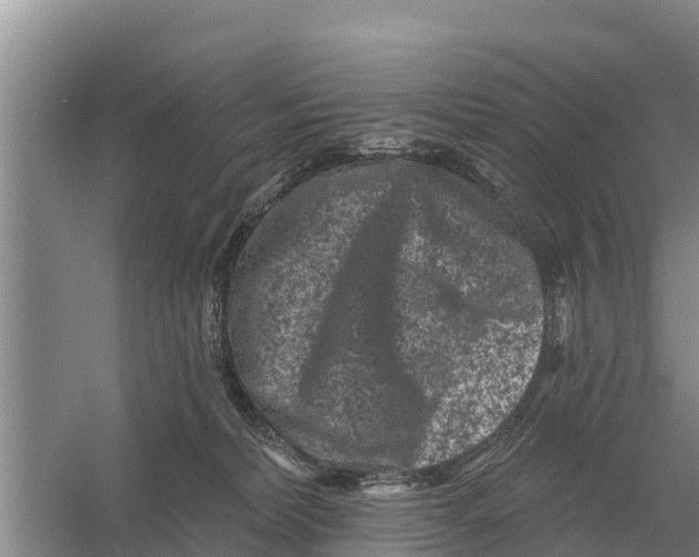 X0000055970228200509162207