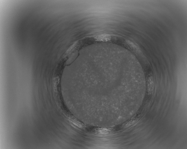 X0000055970229200509162207