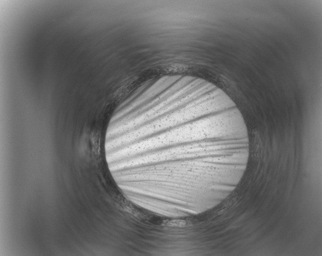 X0000055970230200509162207