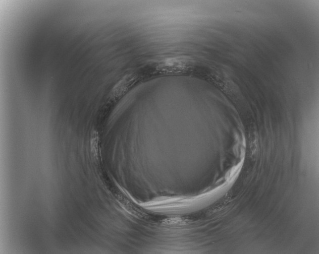 X0000055970231200509162207