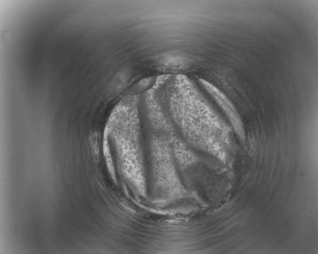 X0000055970232200509162207