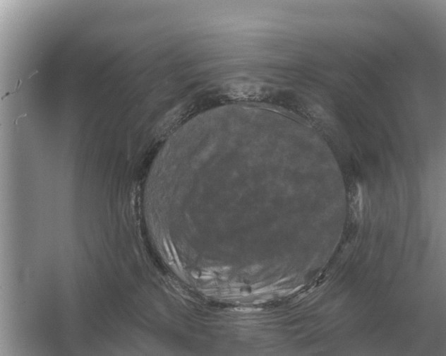 X0000055970233200509162207