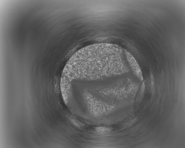 X0000055970234200509162207