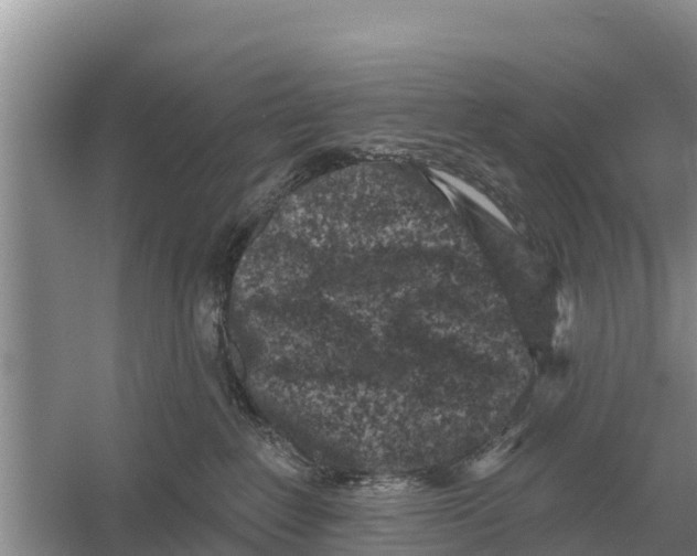 X0000055970235200509162206