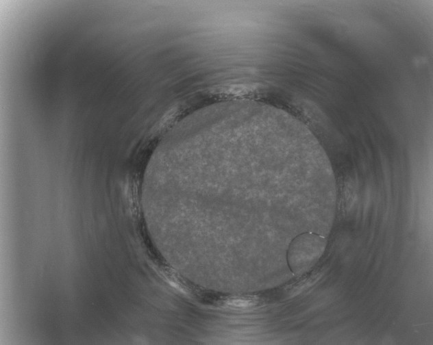 X0000055970236200509162206