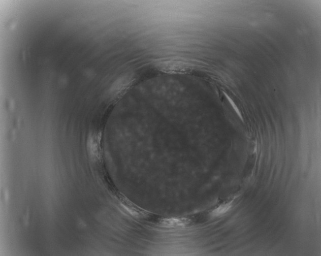 X0000055970239200509162206