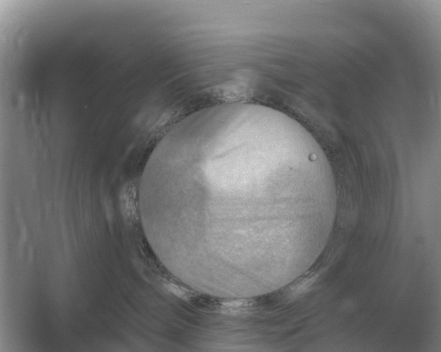 X0000055970240200509162206