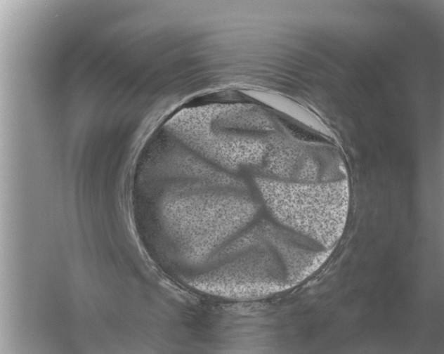 X0000055970241200509162206