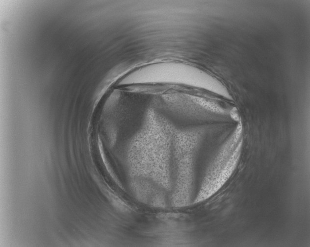 X0000055970242200509162206