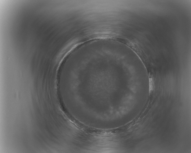 X0000055970243200509162206