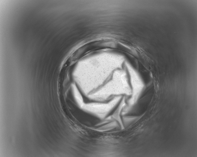 X0000055970244200509162206