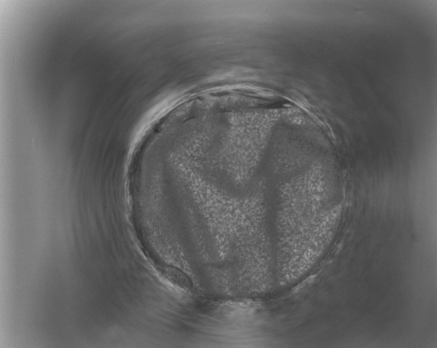 X0000055970245200509162206