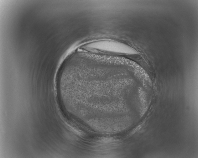 X0000055970246200509162206