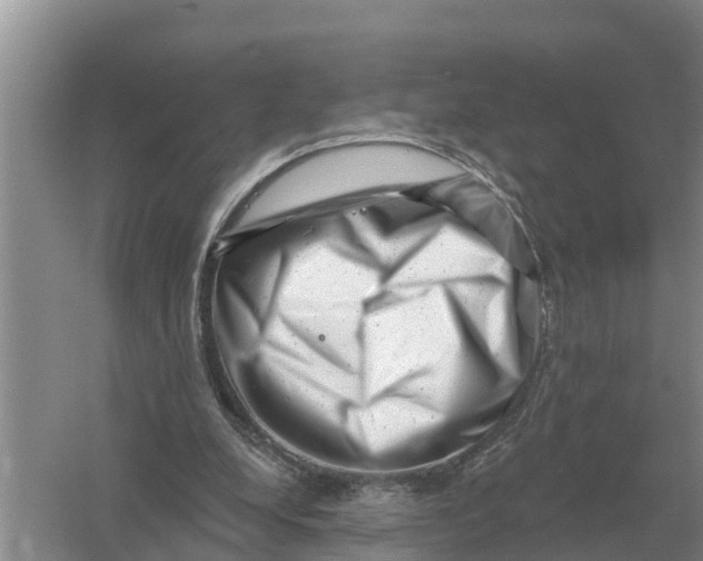 X0000055970248200509162206