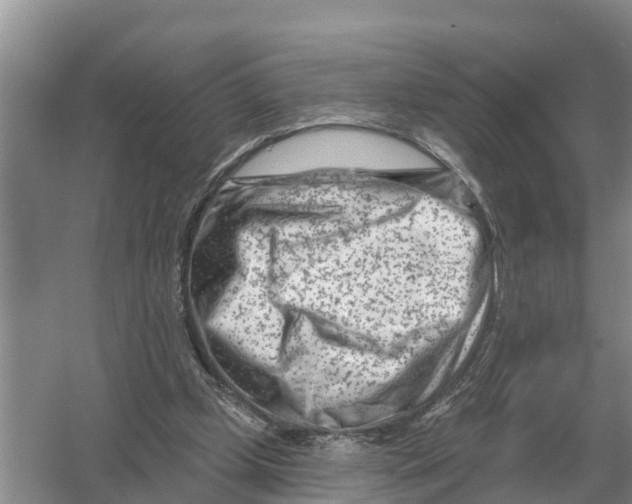 X0000055970249200509162206