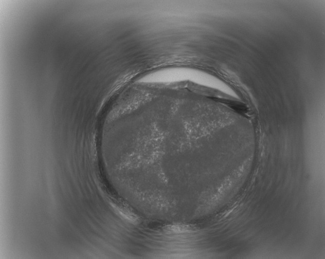 X0000055970250200509162206