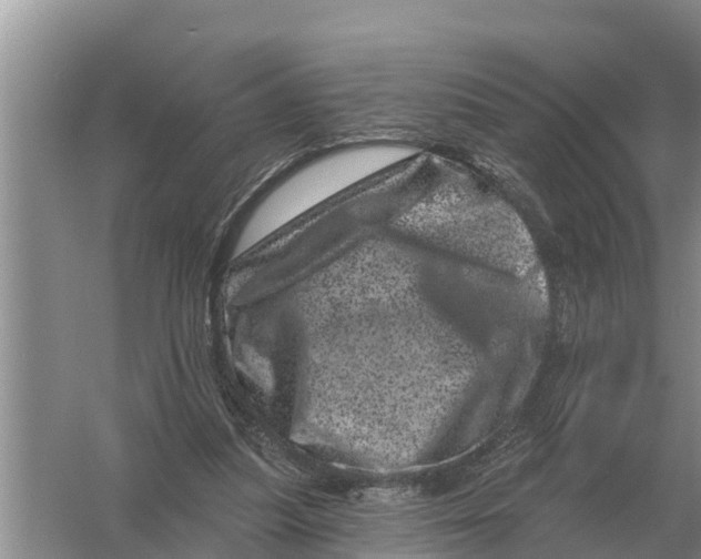 X0000055970251200509162206