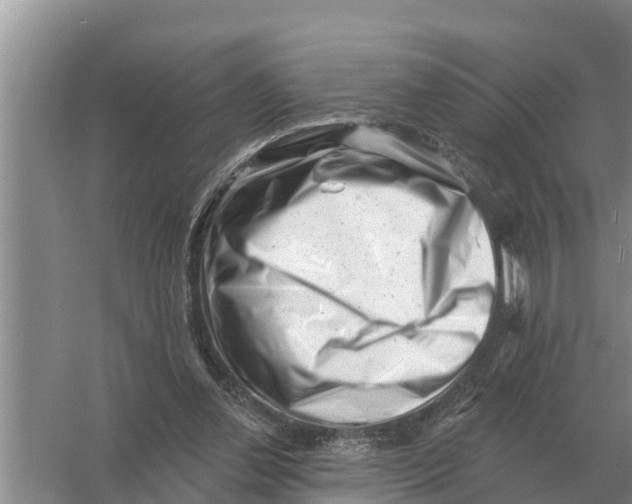 X0000055970252200509162206