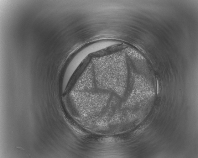 X0000055970253200509162206