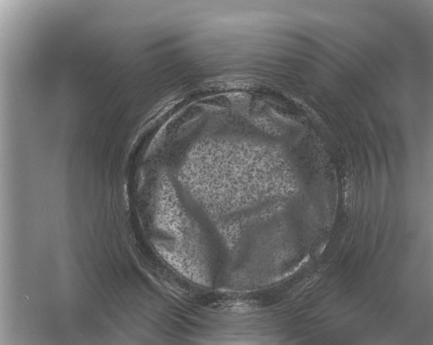 X0000055970254200509162206