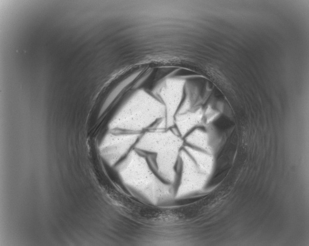 X0000055970256200509162206