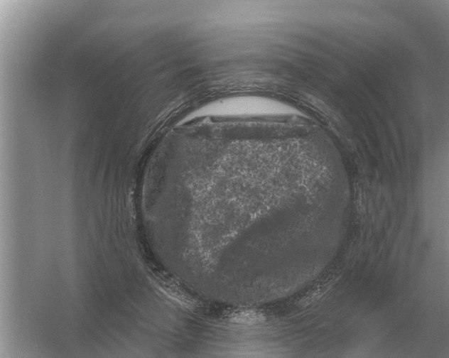 X0000055970258200509162206