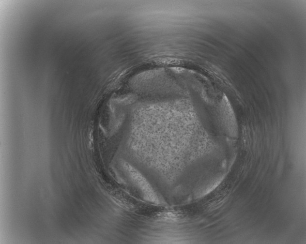 X0000055970259200509162206