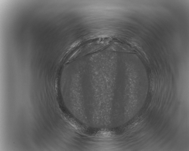 X0000055970260200509162206