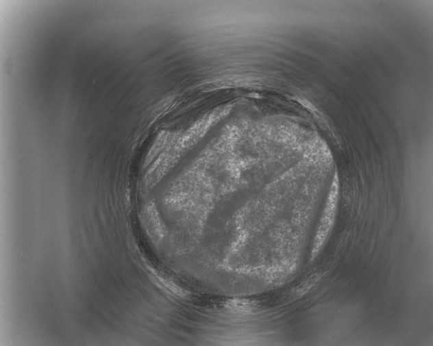 X0000055970261200509162206