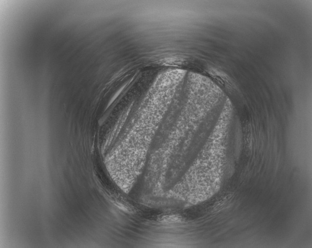 X0000055970262200509162206