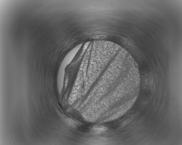 X0000055970263200509162206