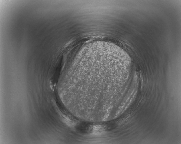 X0000055970264200509162206