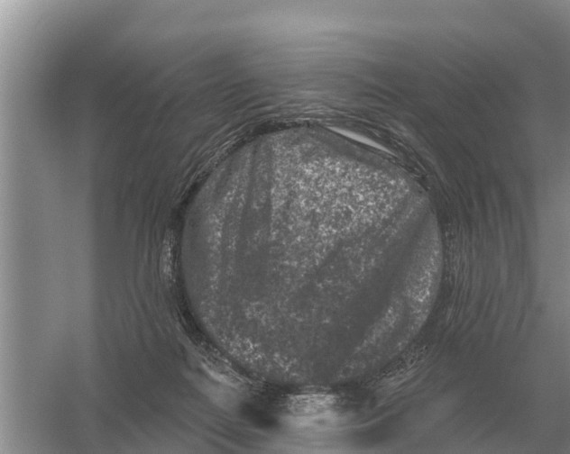 X0000055970266200509162206