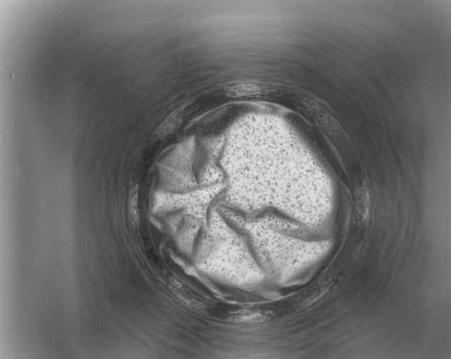 X0000055970267200509162206