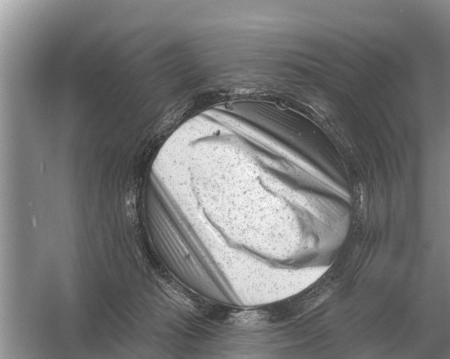 X0000055970269200509162206