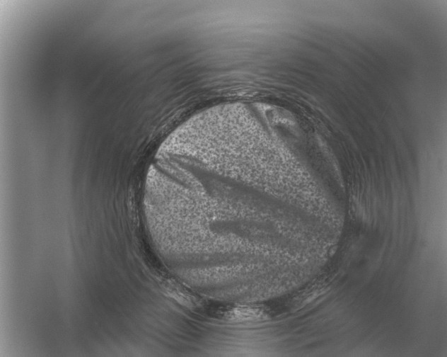 X0000055970270200509162206