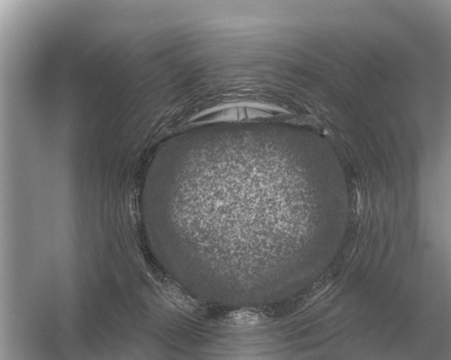 X0000055970272200509162206