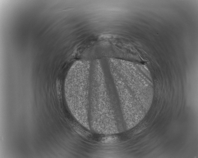 X0000055970274200509162206