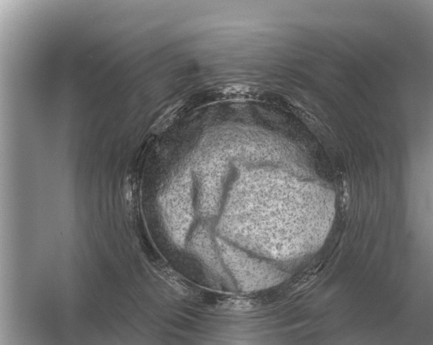 X0000055970276200509162206