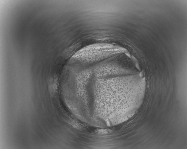 X0000055970277200509162206