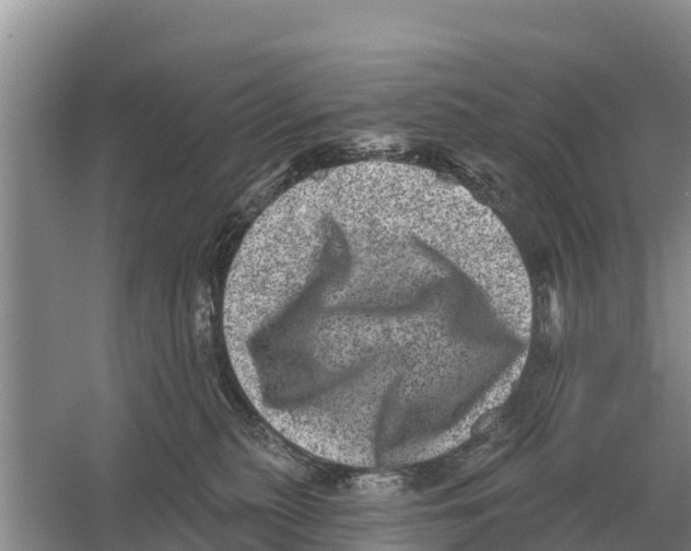 X0000055970279200509162206