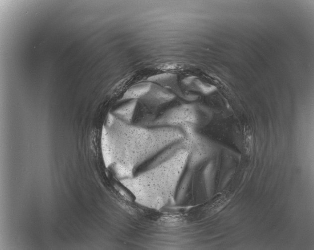 X0000055970280200509162206