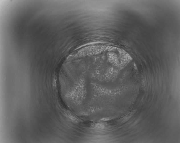 X0000055970282200509162206