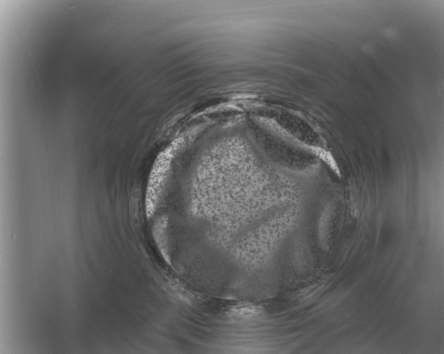 X0000055970283200509162206