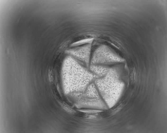 X0000055970285200509162206