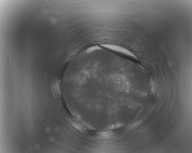 X0000055970286200509162206