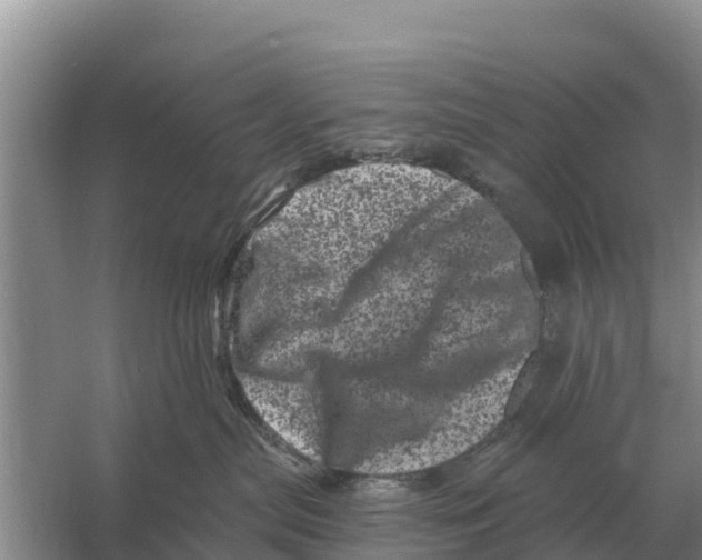 X0000055970287200509162206