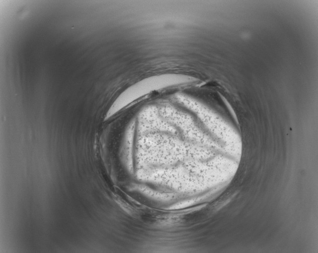 X0000055970288200509162206