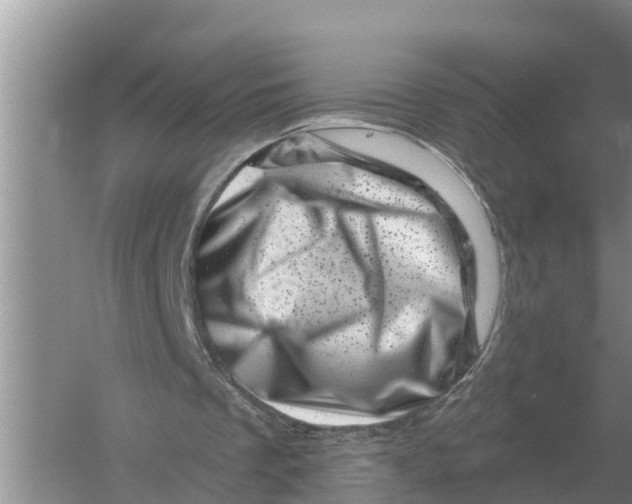 X0000055970289200509162206